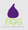 FIGG Excel Accounting Solutions