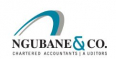 Ngubane & Co