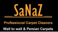 Sanaz Cleaners