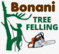 BONANI TREE FELLING