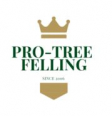 Pro Tree Felling