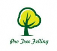 Pro Tree Felling