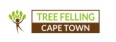 Tree Felling Cape Town