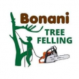 Bonani Tree Felling