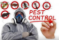 The Pest Control Experct - Groblersdal