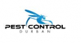 Pest Control - Durban