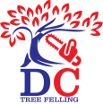 DC TREE FELLING