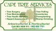 Cape Tree Services