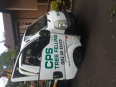 CPS TREE FELLING