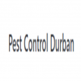 Pest Control Durban