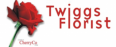 Twiggs Florist