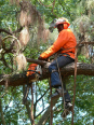 Tree Felling & Smart Gardens