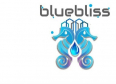 Bluebliss Cleaning Service