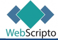 Webscripto Website Design