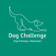 Dog Challenge