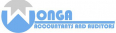 Wonga Accountants And Auditors