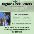 Bigboss Tree-felling