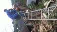 S H Tree Felling  Removal