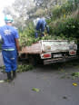 Lindani Tree Felling Services