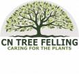 C N Tree Felling