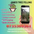 James Tree Felling