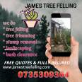 James Tree Felling