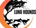 Luna Hounds