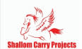 Shallom Carry Projects