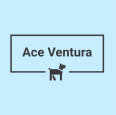 Ace Ventura Pet And Home Sitting