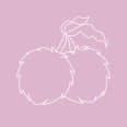 Litchi Designs
