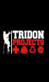 Tridon Projects