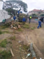A-Z Garden Service And Tree Felling