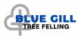 Blue Gill Tree Fellers