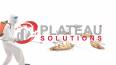 Plateau Solutions