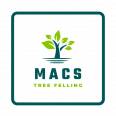 Tree Felling Sandton