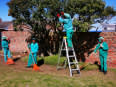 Mzansi Garden Services