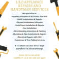 Lilo Handyman Services