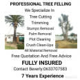 Professional Tree Felling