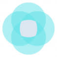 Virtual Accounting Firm
