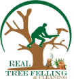 REAL TREE FELLING