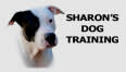 Sharon's Dog Training