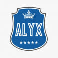 Alyx Custom Software