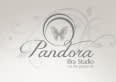 Pandora Bra Studio