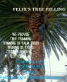 Felex's Tree Felling