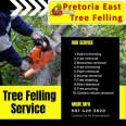 Pretoria East Treefelling