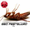 Geo Pestguard