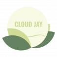 Cloud Jay