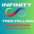 Infinity Tree Felling