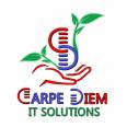 Carpe Diem IT Solutions