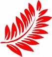 Red Fern Photography